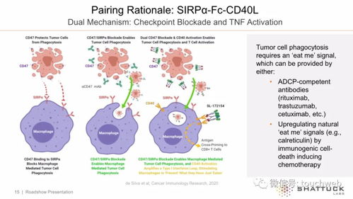 生物技術(shù)公司Shattuck上市首日大漲14%，市值突破7億美元
